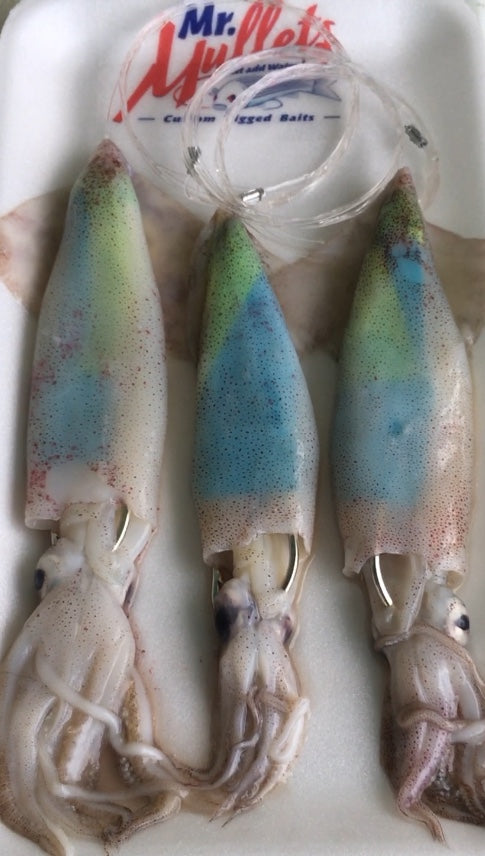 Rigged Colored Squid: 6-10 inches | 3 per pk x10 pks 30 total squid