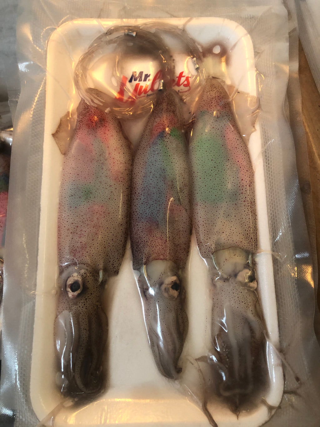 3 pk mono rigged squid with color